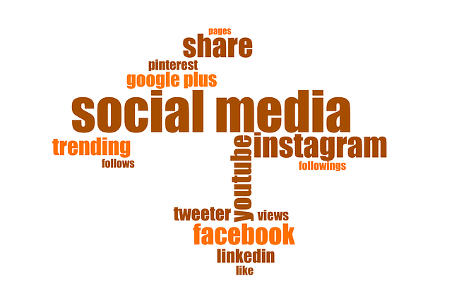 social media management agency Albany