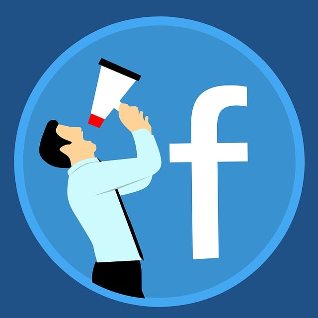 social media management agency Albany