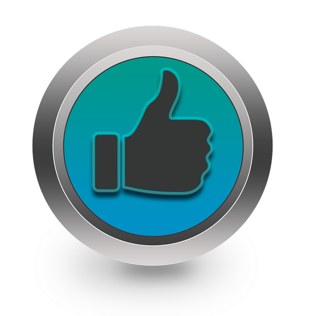 social media management agency Albany
