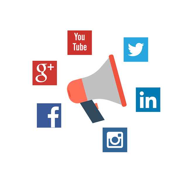 social media management agency Albany