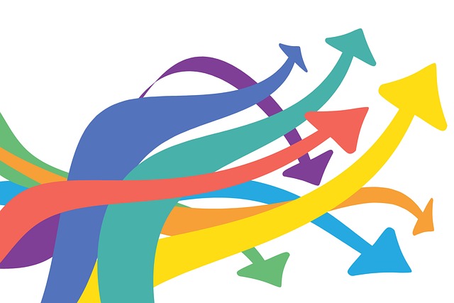 social media management agency Albany