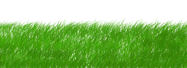 sustainability-of-glue-laminated-beams-640x480-82978294.png