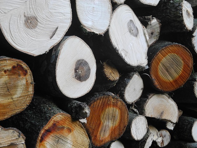 sustainability-of-glue-laminated-beams-640x480-91844193.jpeg