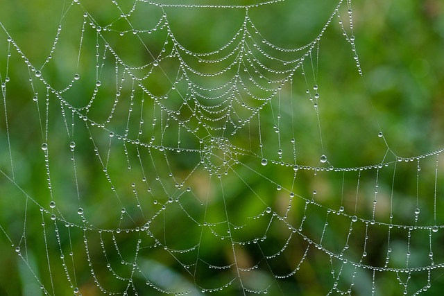 web design Albany