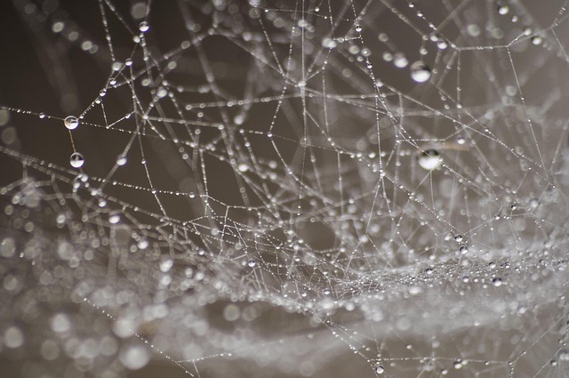web design Albany
