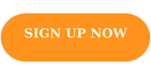 web-design-albany-640x480-89472789.png