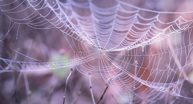 web design Albany