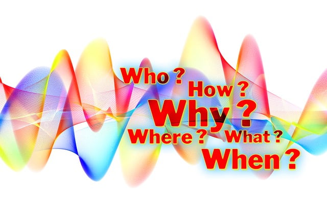 What to Do After Albany Car Accident