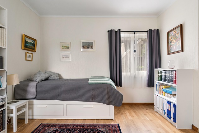 1 bedroom apartments for rent in Albany