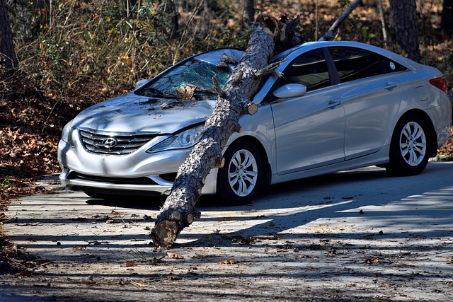 Albany Car Accident Settlement Attorney