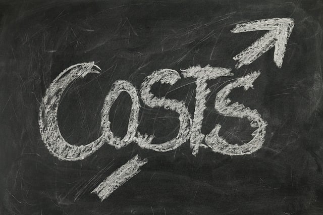 Albany Criminal Defense Cost Estimates
