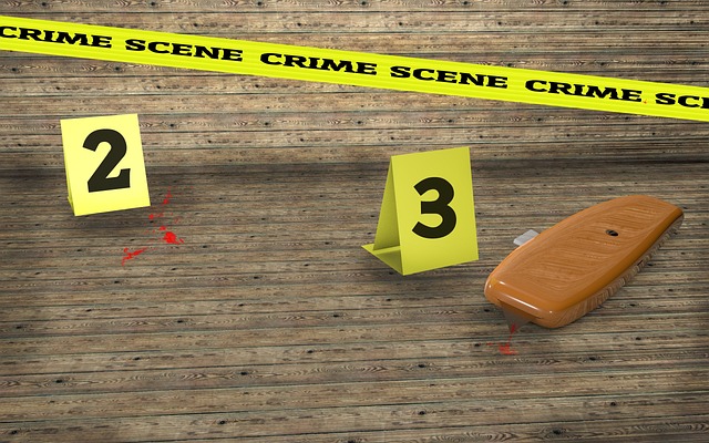 Albany Criminal Defense Cost Estimates