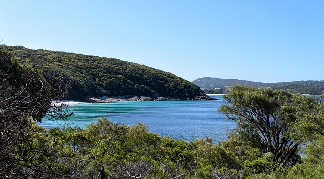 Albany Medical Malpractice Attorney