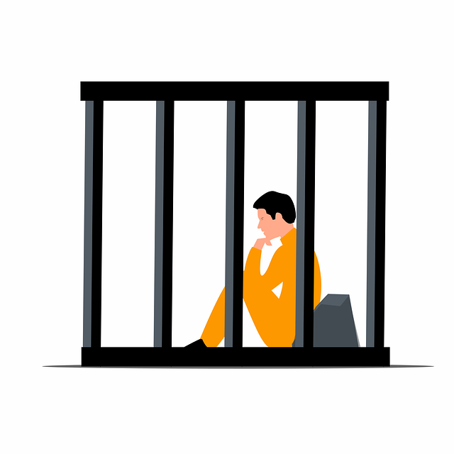 Albany NY Criminal Law Firm