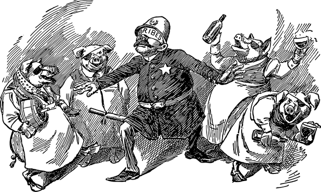 Albany NY Criminal Law Firm