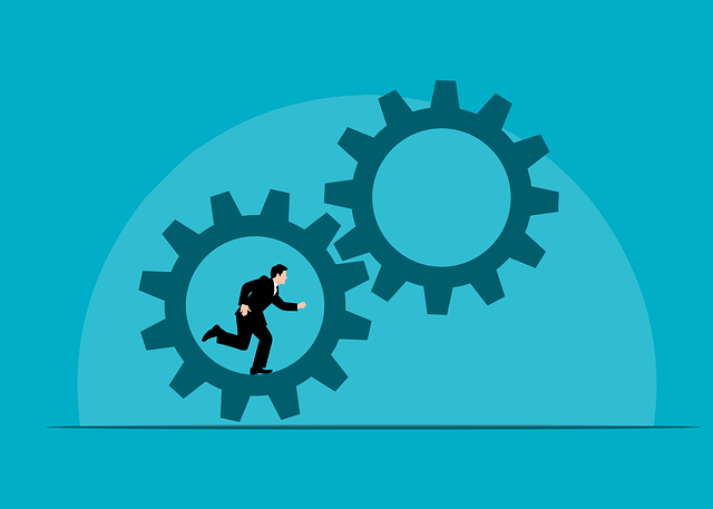 Albany workers comp process guide