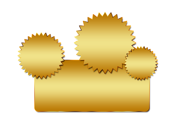 best digital marketing agency Albany