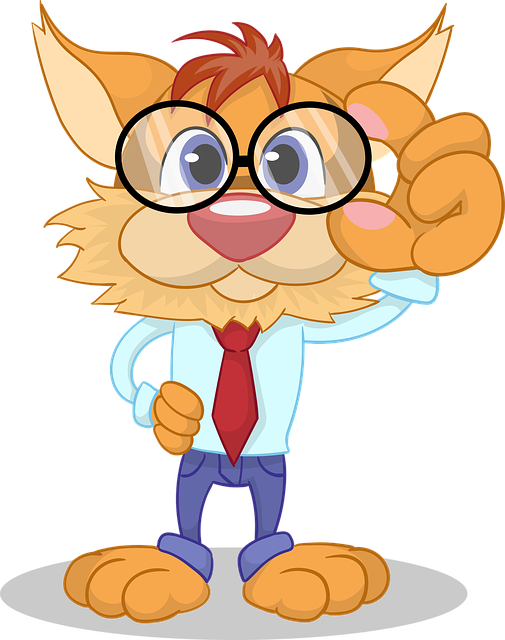 Cat friendly rentals Albany
