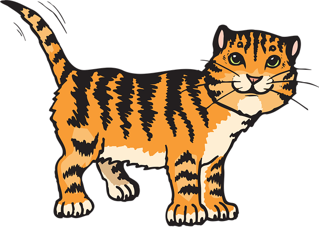 Cat friendly rentals Albany