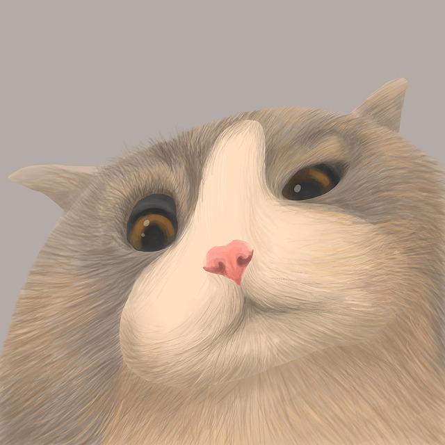 cat-friendly-rentals-albany-640x480-84870842.jpeg