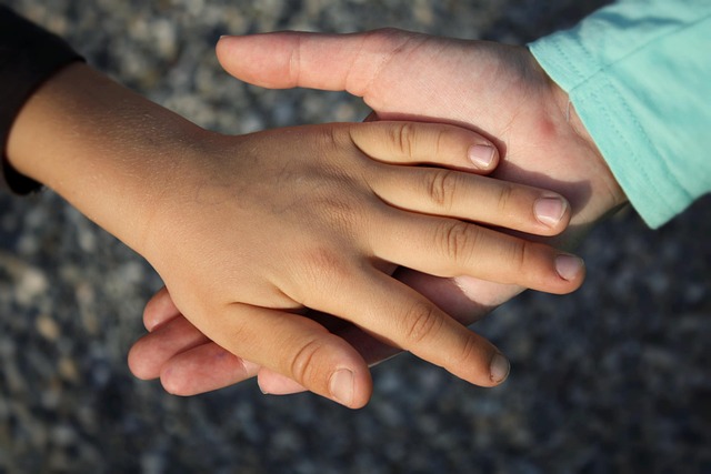 Child Support Lawyer Albany