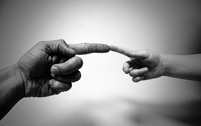 Child Support Lawyer Albany