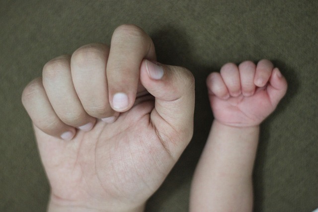 Child Support Lawyer Albany
