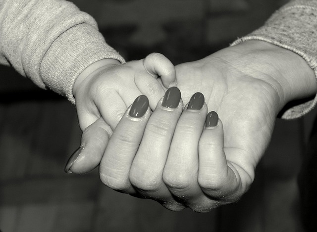 Child Support Lawyer Albany
