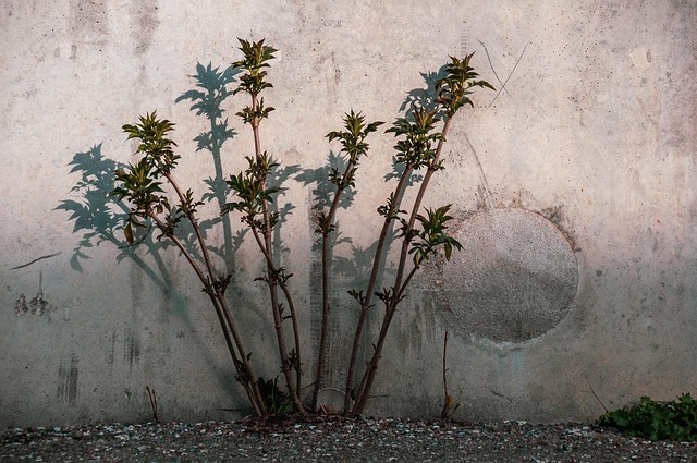 concrete paving