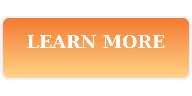 custom-website-design-albany-640x480-19885031.png