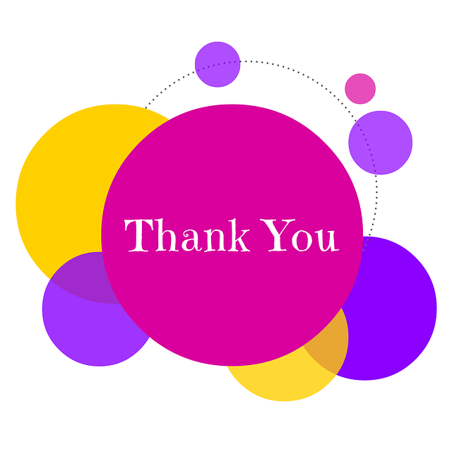custom website design Albany