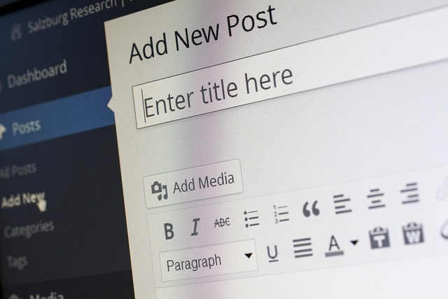 custom website design Albany
