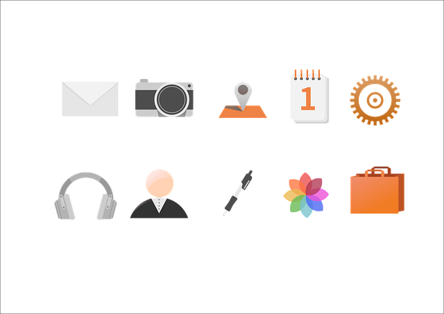 custom website design Albany
