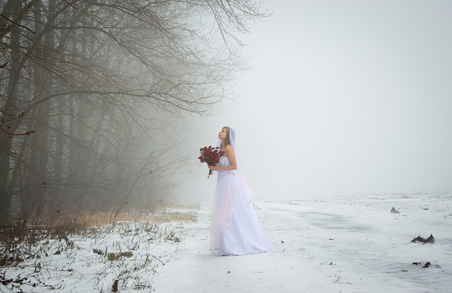 Divorce proceedings Albany NY