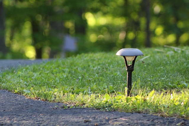 driveway-paving-albany-640x480-43139881.jpeg