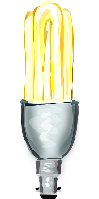 energy efficient water heaters Albany