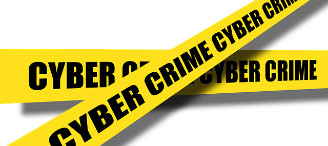 Experienced Criminal Lawyer Albany