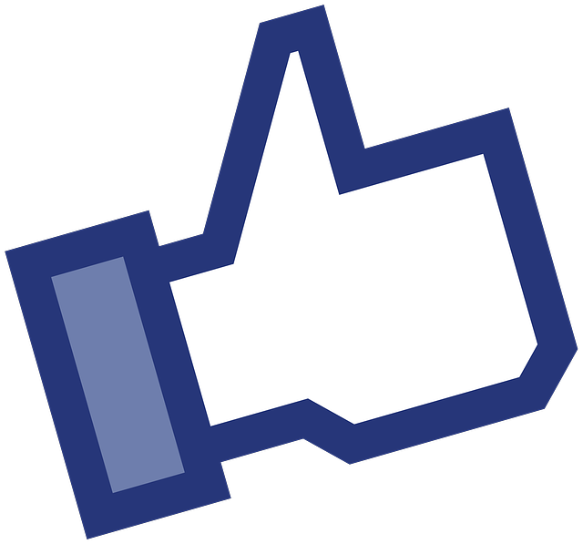 facebook-ads-agency-albany-640x480-10917324.png
