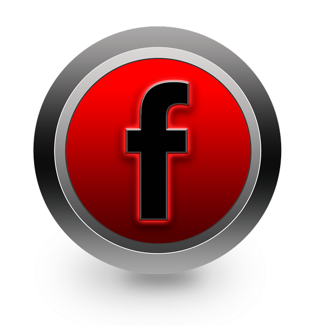 Facebook Ads agency Albany