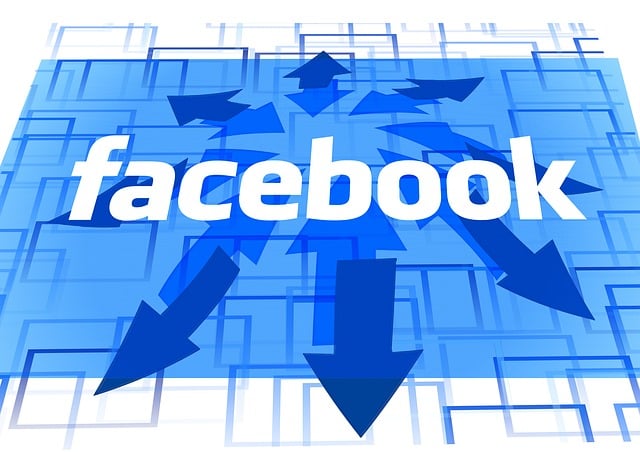 Facebook Ads agency Albany