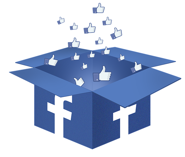 Facebook Ads agency Albany