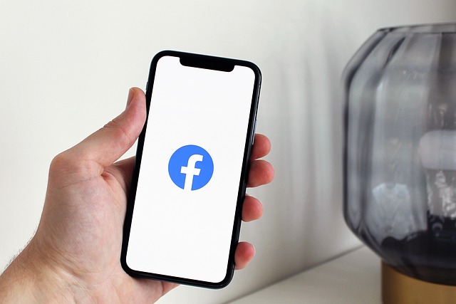 Facebook Ads agency Albany