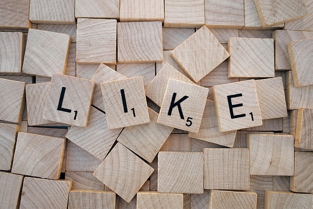 Facebook Ads agency Albany