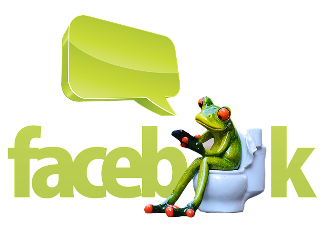 Facebook Ads agency Albany