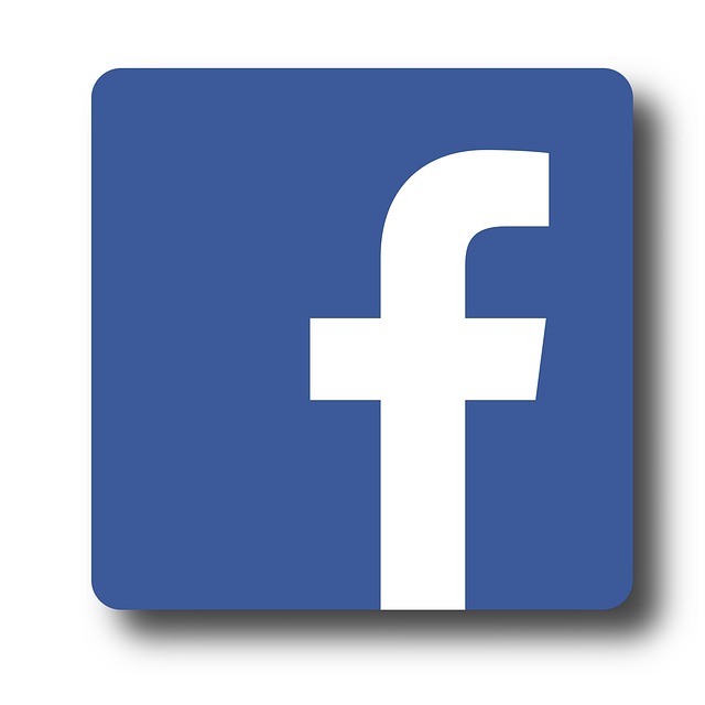 Facebook Ads agency Albany