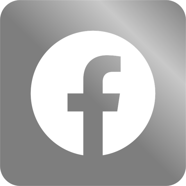 Facebook Ads agency Albany