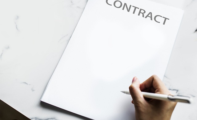 Family Law Consultation Albany