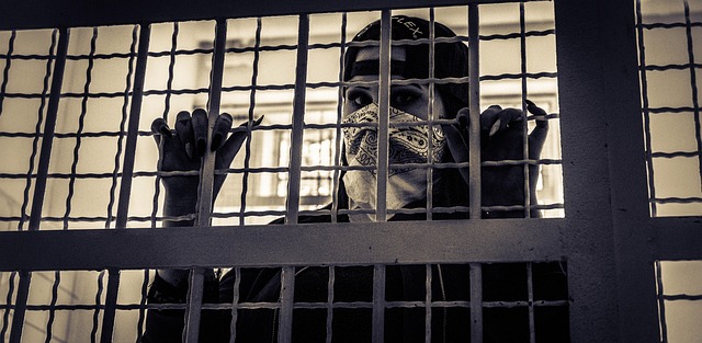 Free Criminal Consultation Albany