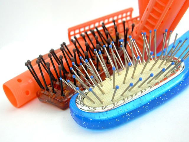 hair salon albany
