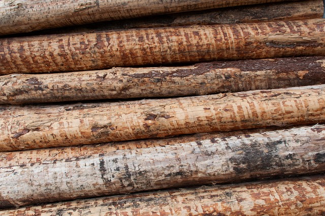 Laminated Wood Beams for Construction